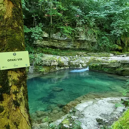 Apartmаn Avram Ll Apartament *